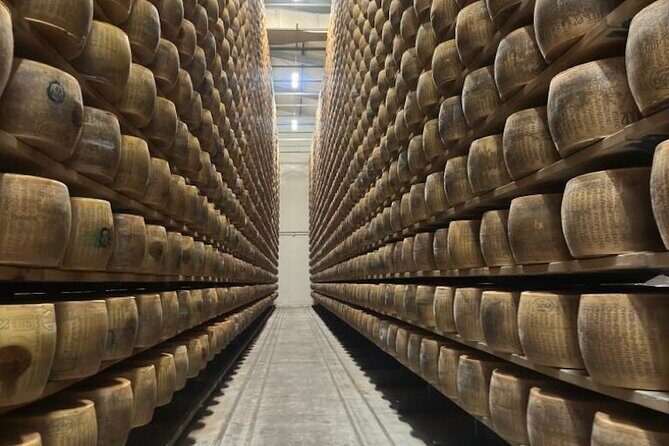 From Bologna: Parmesan Cheese & Balsamic Vinegar Tour+Lunch - Parmigiano Reggiano at a cheese factory: what you taste and why it matters