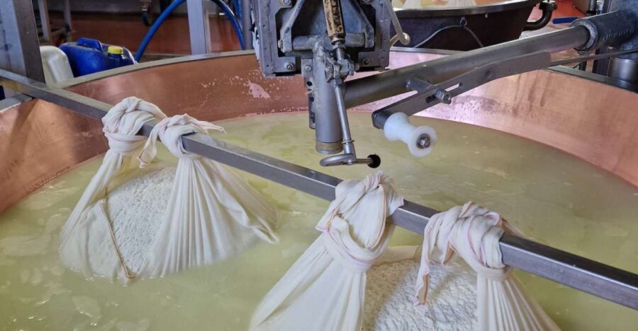 From Bologna: Parmesan, Vinegar, Lambrusco with Transfer - The Parmigiano farm stop: production steps you can actually picture