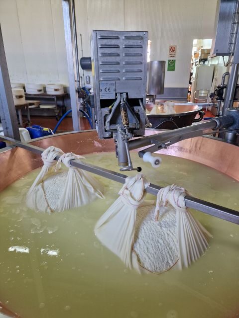 From Bologna: Parmesan, Vinegar, Lambrusco with Transfer - Pickup and transfer realities from Bologna