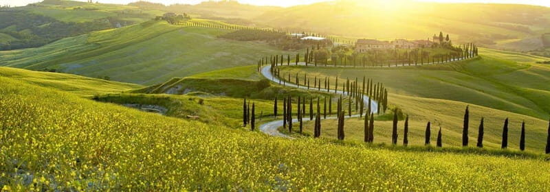 From Firenze | Chianti day tour in a classic car - Driving a vintage car through Chianti: the point of the trip