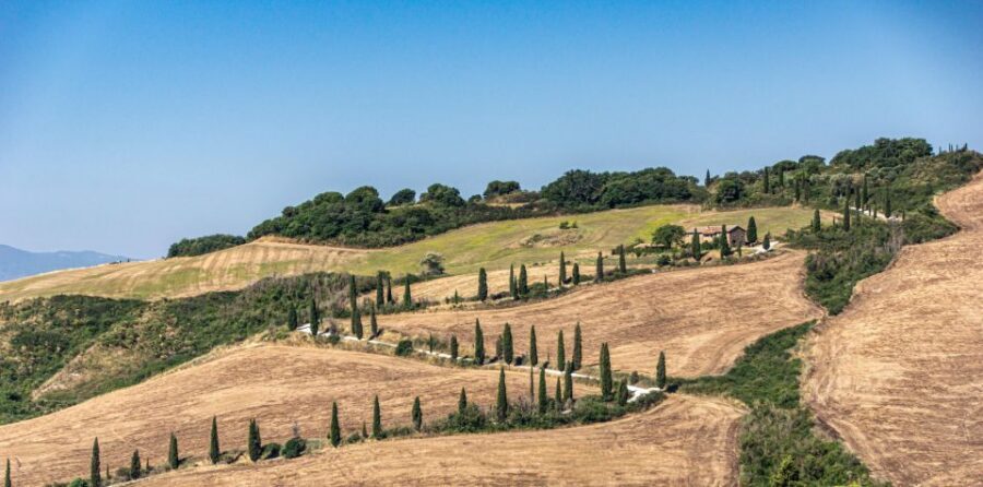 From Florence: Chianti, Montalcino & Montepulciano - Minivan - Montepulciano: A Hill Town Walk and Nobile Wine Sampling
