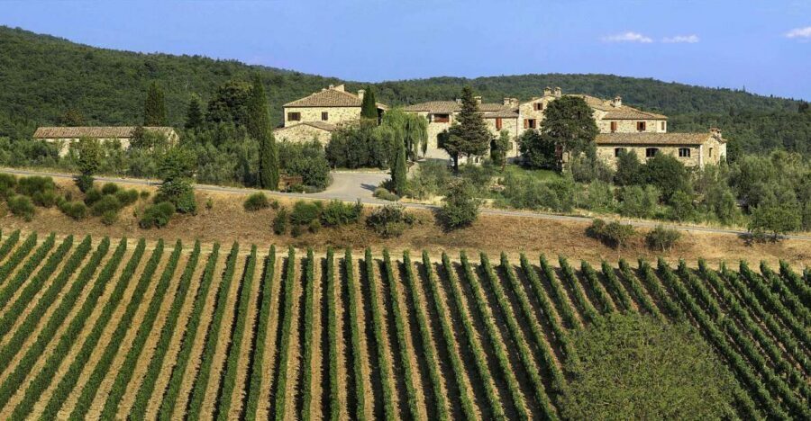 From Florence: Chianti, Montalcino & Montepulciano - Minivan - Chianti Hills: Wine Tasting, Olive Oil Bites, and Photo-Stop Views