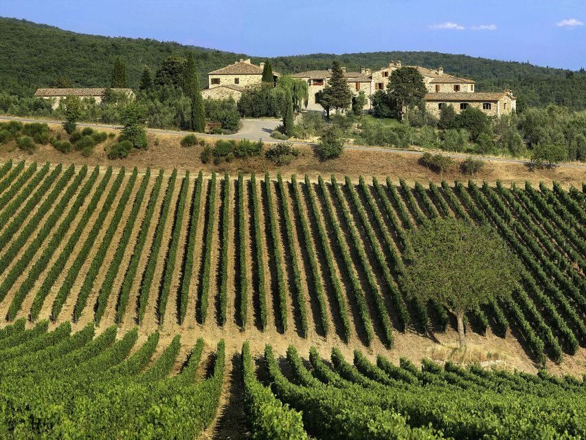 From Florence: Chianti, Montalcino & Montepulciano - Minivan - Monteriggioni and Crete Senesi: The In-Between Moments That Feel Tuscany-Real