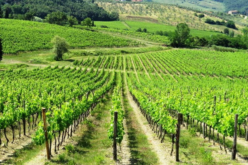From Florence: Chianti Self-Guided Vespa Tour with Lunch - Key things to know before you ride