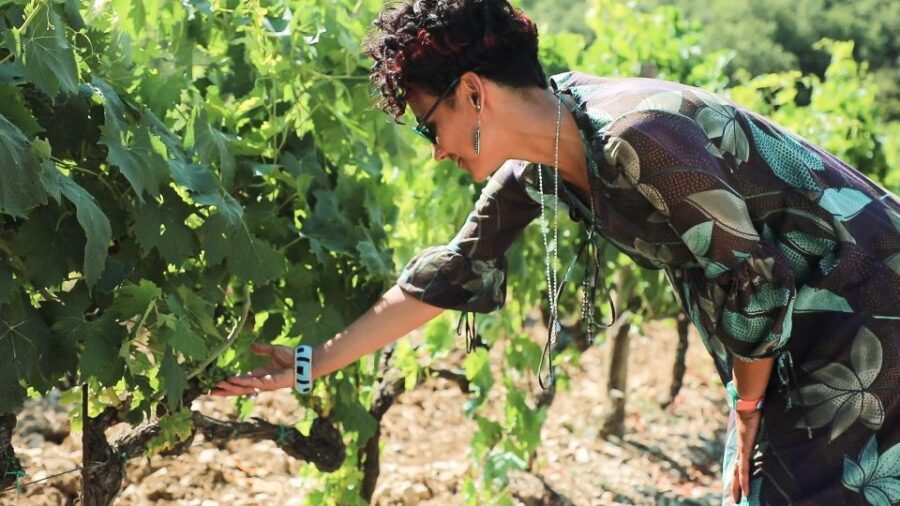 From Florence: Chianti Self-Guided Vespa Tour with Lunch - Who should book this self-guided Chianti Vespa tour