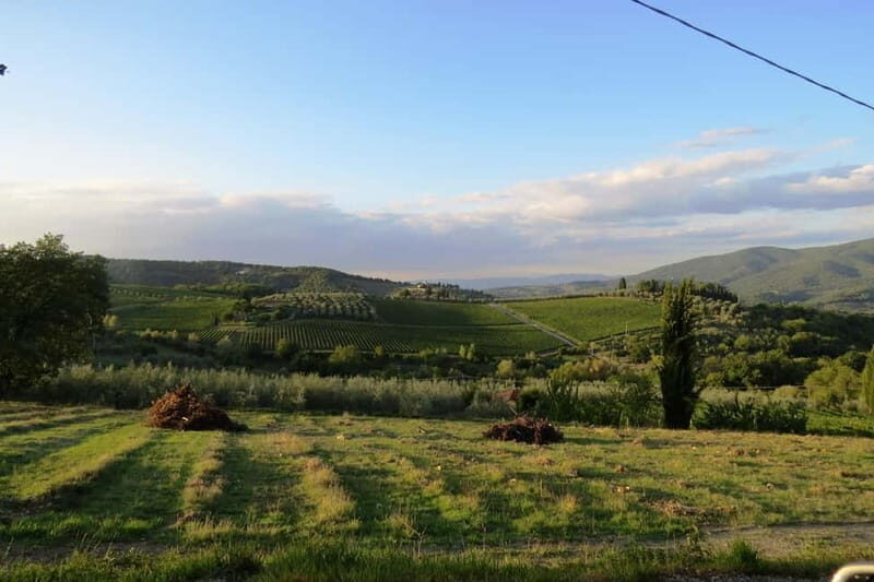 From Florence: Chianti Self-Guided Vespa Tour with Lunch - The Chianti hills route: vineyards, olive groves, and app pacing