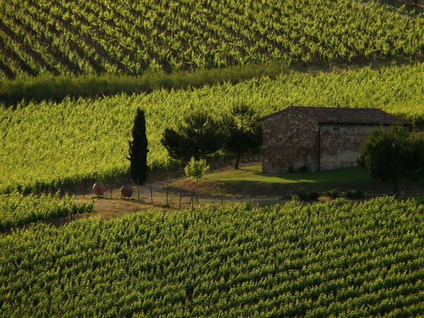 From Florence: Chianti Wine Tastings at Sunset Day Trip - Getting There Comfortably: Minivan Time, Pickups, and Timing