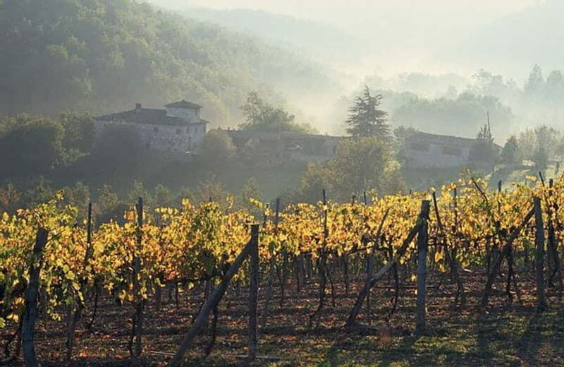 From Florence: Chianti Wine Tour with Driver-Guide - Key highlights