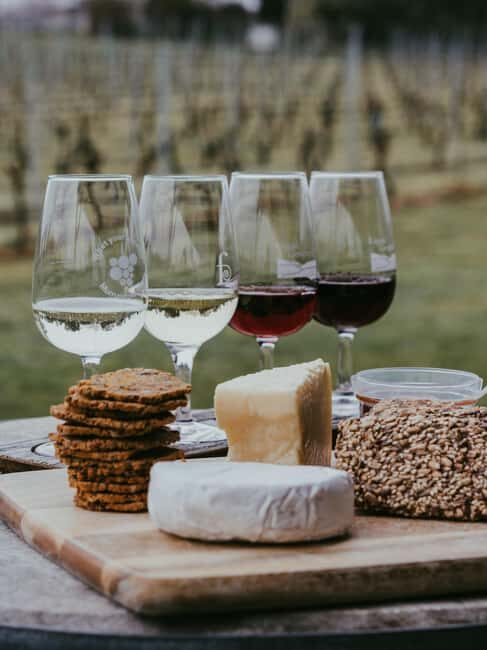 From Florence: Chianti Wine Tour with Driver-Guide - Panzano and the first winery cellar: where the tasting becomes real