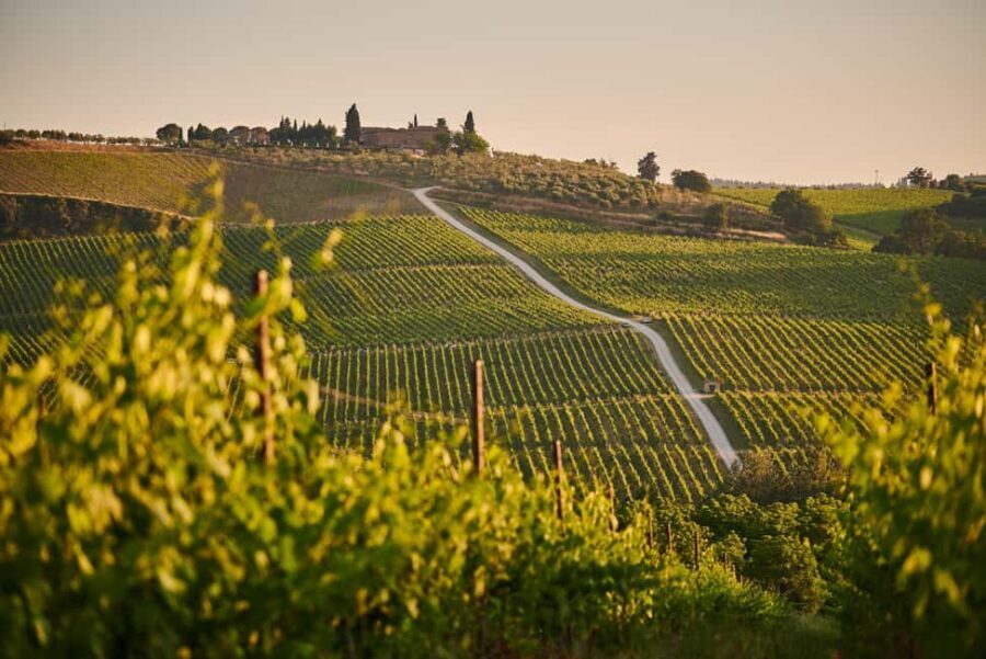 From Florence: Chianti Wine Tour with Driver-Guide - The second highly rated winery: seeing the range of Chianti