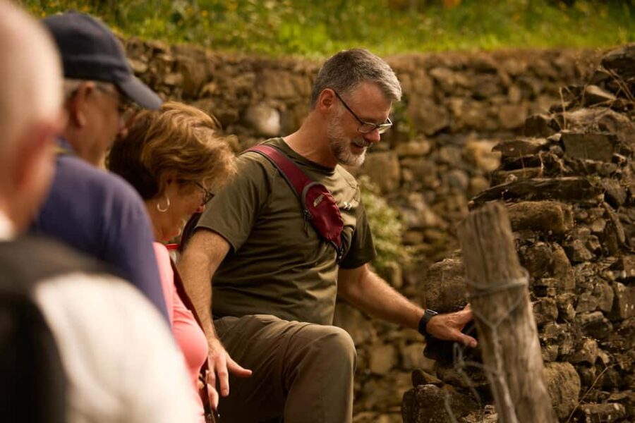 From Florence: Cinque Terre Day Trip with Local Guide - Inside the Mercedes Minivan: Comfort, Timing, and a Real Group Size