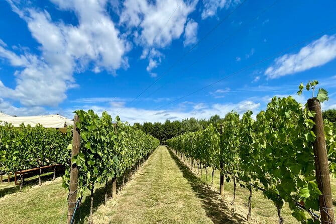 From Florence: Classic Chianti Villages and Wine Roads by Minivan - How the Florence-to-Chianti Minivan Saves You Time