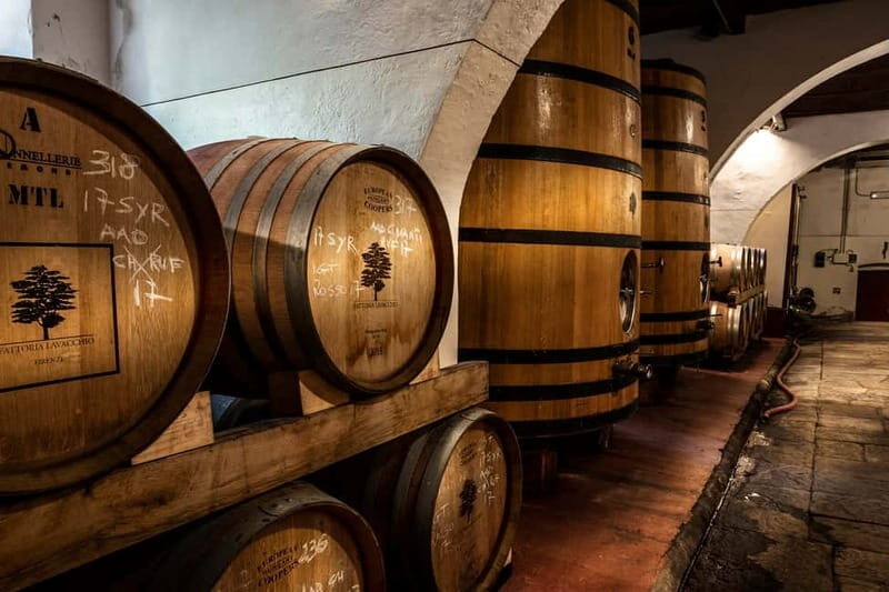 From Florence: Horse Ride and Wine Tour at Estate with Lunch - From Florence to the Southern Chianti Hills: the day’s rhythm