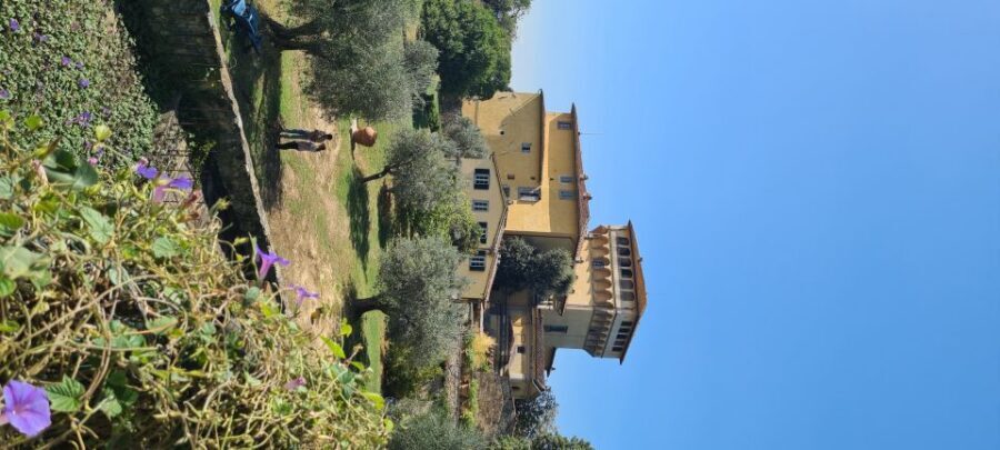 From Florence: Horseback Ride and Olive Oil and food tasting - Who This Tour Fits Best (and Who Should Skip)