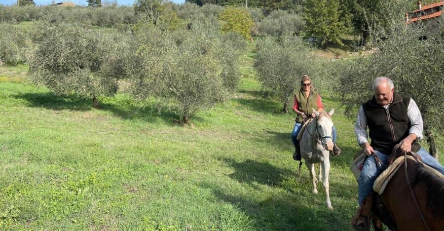 From Florence: Horseback Ride and Olive Oil and food tasting - Why This Chianti Hills Horseback + Olive Oil Day Works