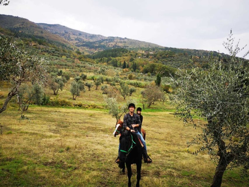 From Florence: Horseback Ride and Olive Oil and food tasting - The Horseback Ride: What It’s Like in Real Terms