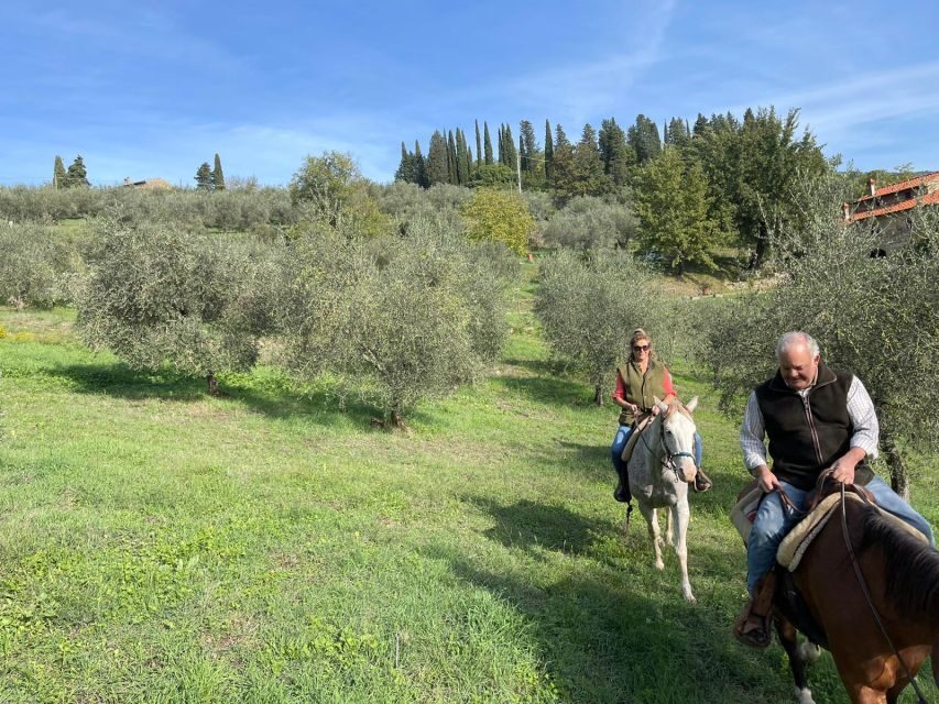 From Florence: Horseback Ride and Olive Oil and food tasting - The Olive Oil Tasting: How to Appreciate Extra-Virgin Like a Local