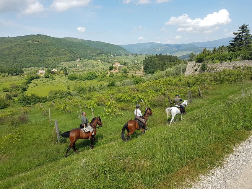 From Florence: Horseback Ride and Olive Oil and food tasting - Price and Value: Is $377 a Good Deal?