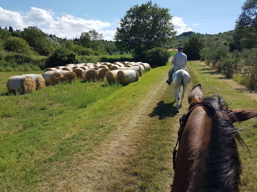 From Florence: Horseback Ride and Olive Oil and food tasting - Getting There: Meeting Point, Timing, and How the 5 Hours Feel
