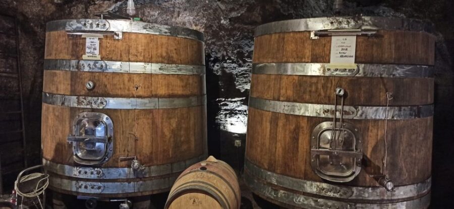 From Florence: Pisa/Chianti Half Day Tour with Wine Tasting - Key points before you go
