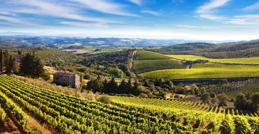 From Florence: Private Half-Day Chianti Tour & Wine Tasting - Private vehicle value at $330: who should book and why it’s worth it