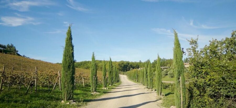 From Florence: Private Half-Day Chianti Tour & Wine Tasting - Greve in Chianti and the Chiantigiana Road: crafts, Verrazzano, and church views