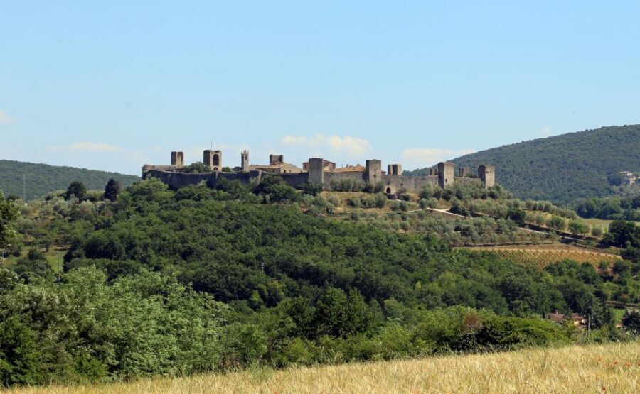 From Florence: Private Siena, San Gimignano + wine tasting - Siena With a Professional Guide: From Piazza del Campo to Piazza del Duomo