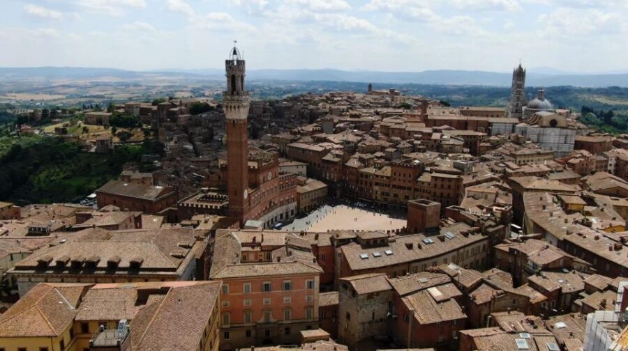 From Florence: Private Siena, San Gimignano + wine tasting - Wine Tasting With Local Guidance: Vernaccia and Olive Oil