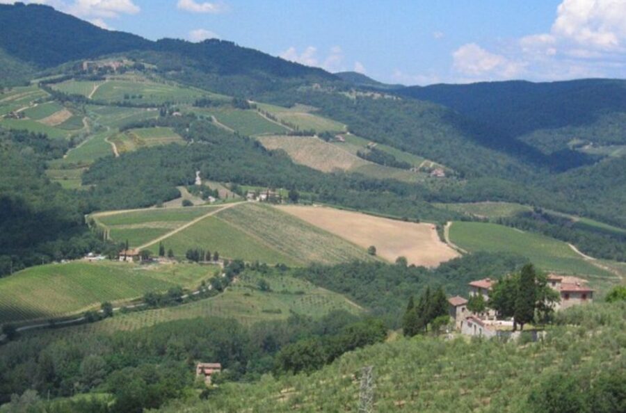 From Florence: Private Wine Tasting Tour in Chianti - Price and logistics: is $586.07 per person worth it