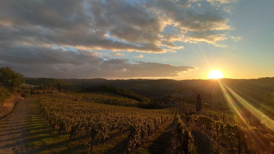 From Florence: Private Wine Tasting Tour in Chianti - A private Chianti day from Florence, paced for wine people