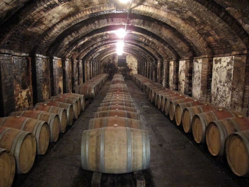 From Florence: Private Wine Tasting Tour in Chianti - Stop 1: family welcome through vineyard, cellar, and tasting room