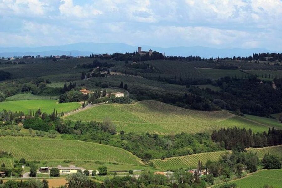 From Florence: Private Wine Tasting Tour in Chianti - Luxury transportation that keeps the day smooth (and on schedule)