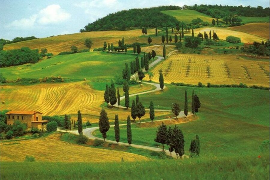 From Florence: Private Wine Tasting Tour in Chianti - The private group factor: better pace, more conversation