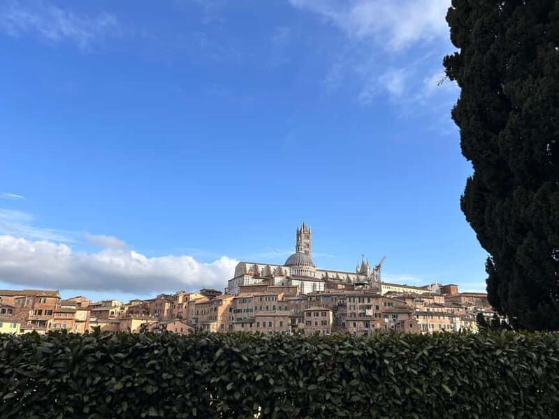 From Florence: San Gimignano, Siena, and Chianti Wine Tour - Siena in One Day: Piazza del Campo, Cathedral Views, and Palio Atmosphere