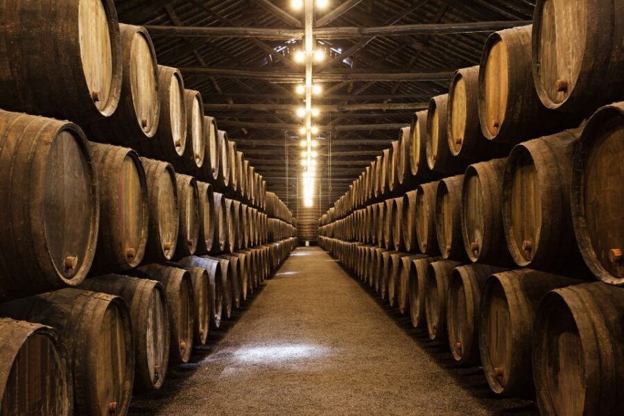 From Florence: Semi Private Deep Wine Chianti San Gimignano - Why this Chianti and San Gimignano day trip feels efficient