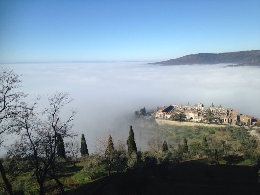 From Florence: Siena, Cortona, Montepulciano & Val D'Orcia - Montepulciano: walled-town wandering and a bonus cellar tasting