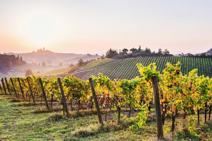 From Florence: Siena & San Gimignano Tour with Wine & Lunch - Who Should Book This Florence to Tuscany Day Trip?