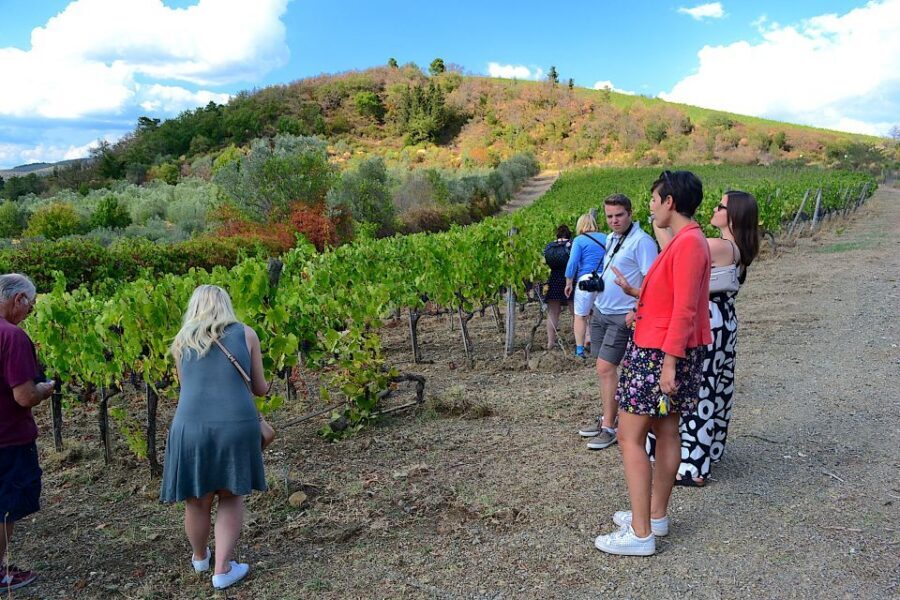 From Florence: Small-Group Chianti Wine Tour 2024 - Key highlights at a glance