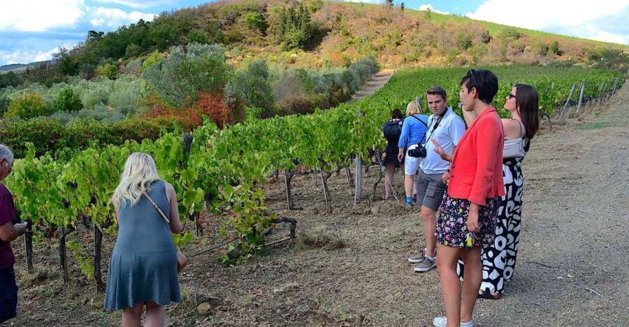 From Florence: Small-Group Chianti Wine Tour 2024 - Florence to the Chianti Hills: Why small-group pacing is the real win