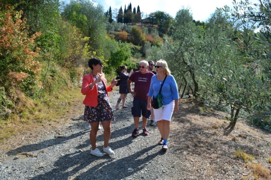 From Florence: Small-Group Chianti Wine Tour 2024 - Stop 3: The third, highly regarded estate and why it’s worth the wait