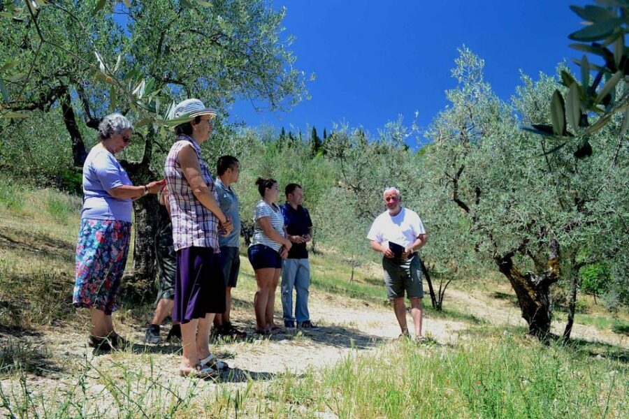 From Florence: Small-Group Chianti Wine Tour 2024 - What you’ll learn: how the day turns tastings into real understanding