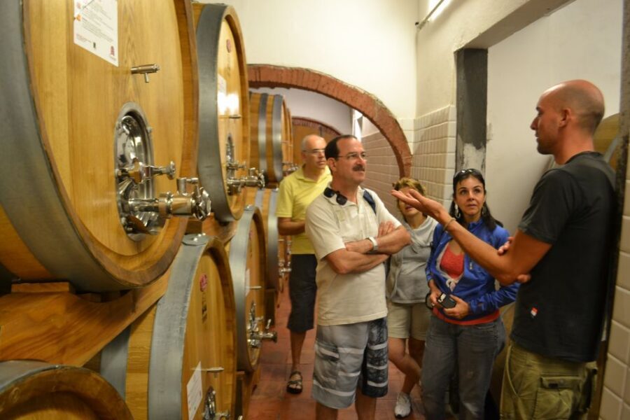 From Florence: Small-Group Chianti Wine Tour 2024 - Value for money: what you get for $283.21