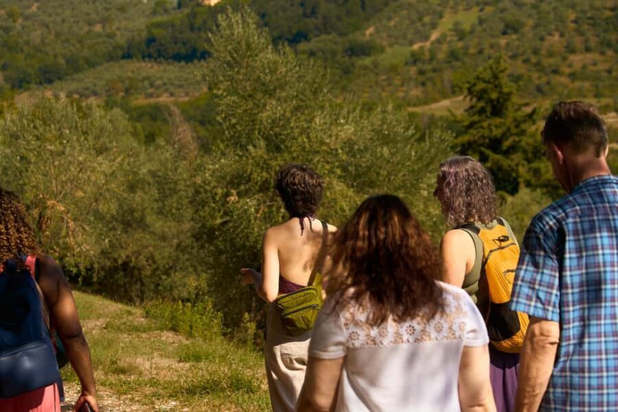 From Florence: Small Group Chianti Wine Tour with Lunch - Stop One: Contemporary Cellars and the Producer’s Big Picture