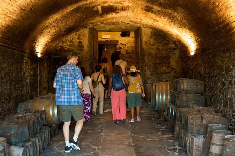 From Florence: Small Group Chianti Wine Tour with Lunch - The Ride Out: Mercedes Minivan, Wi‑Fi, and a Real Group Size