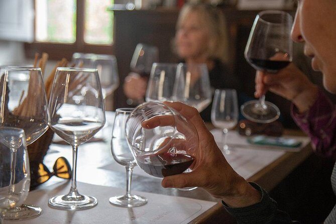 From Florence to Chianti Rufina: Wine Tasting Experience - Key highlights to know before you go