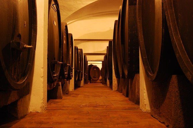 From Florence to Chianti Rufina: Wine Tasting Experience - Your wine lineup: Chianti Rufina Reserve, two Super Tuscans, and sweet Vin Santo