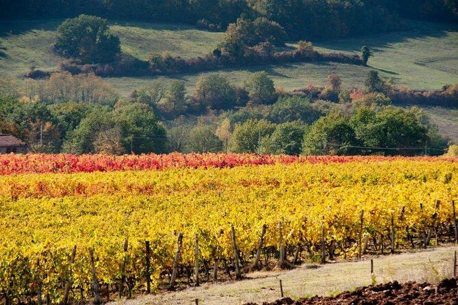 From Florence to Chianti Rufina: Wine Tasting Experience - Getting to the meeting point in Pontassieve (and keeping the day simple)