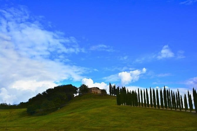 From Florence to Siena - San Gimignano & Pisa by private minivan - How the Timing Really Works in a 10-Hour Tour