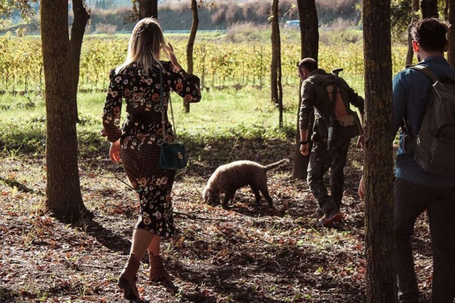 From Florence: Truffle Hunting with Lunch & Transportation - Wine and Extra Virgin Olive Oil Tasting: What the Timing Gets Right