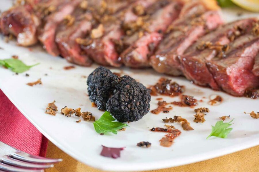 From Florence: Truffle Hunting with Lunch & Transportation - Pace, Comfort, and What to Wear in the Woods